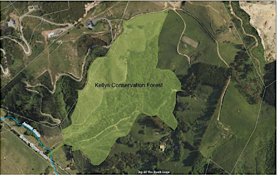 aerial view showing the extent of kelly's conservation forest