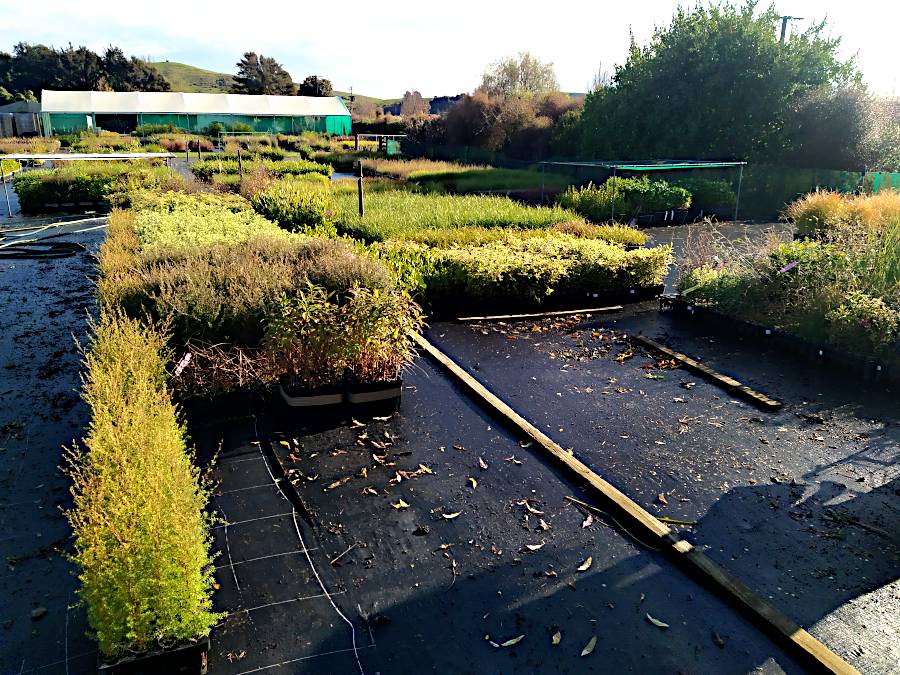 A picture of some of the boxes of plants at the nursery waiting to be loaded into/onto our vehicles