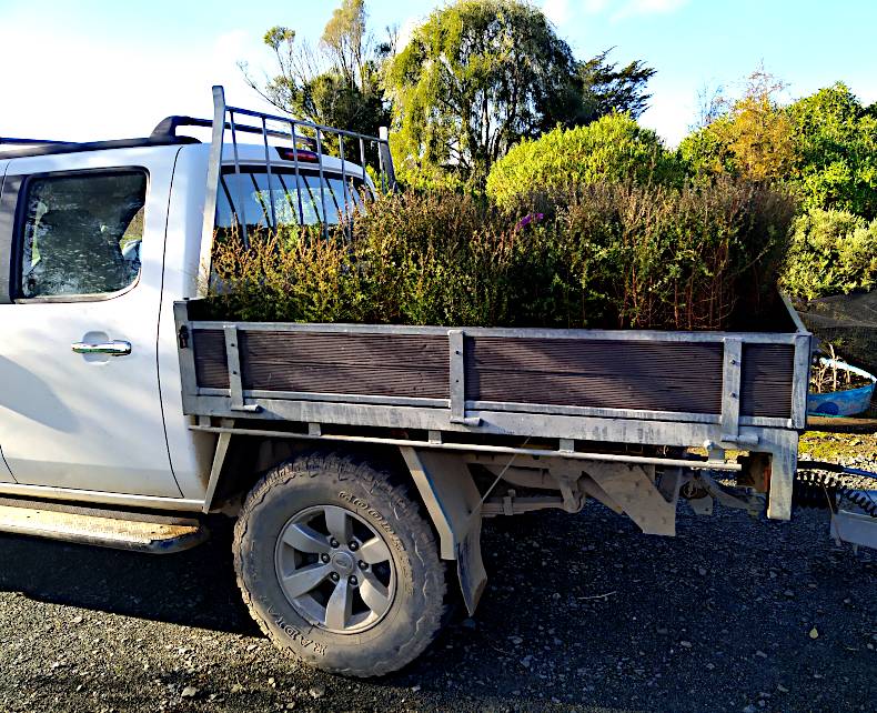 A side on picture of the white ute showing its tray loaded up