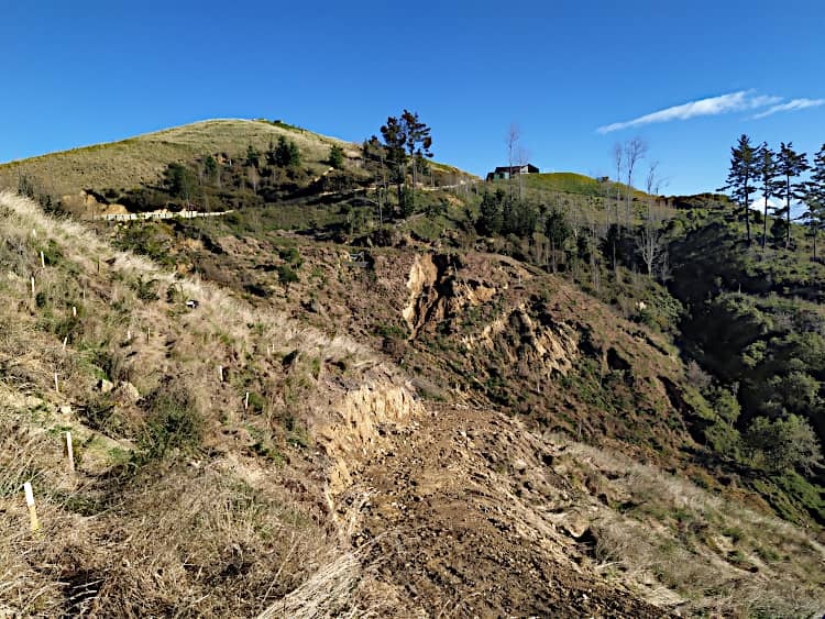 Some of the planting area