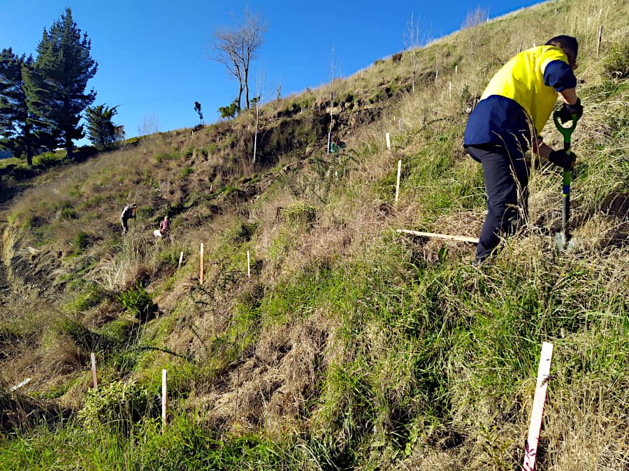 Planting on the slop