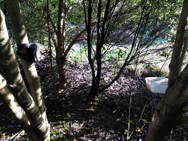 Picture of a camera and the feeding station it is monitoring