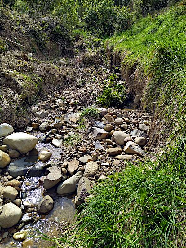 Picture of the cleared creek bed