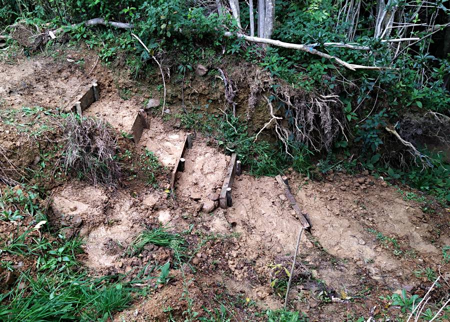 A side on and top down picture of the steps showing how wet the ground is