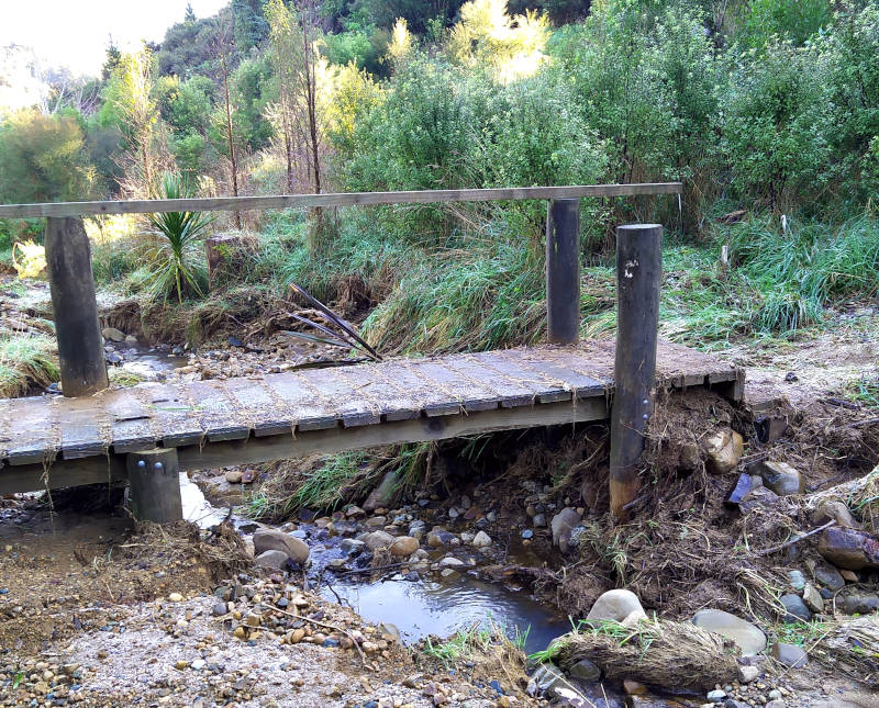 A picture of debri cleared from footbridge