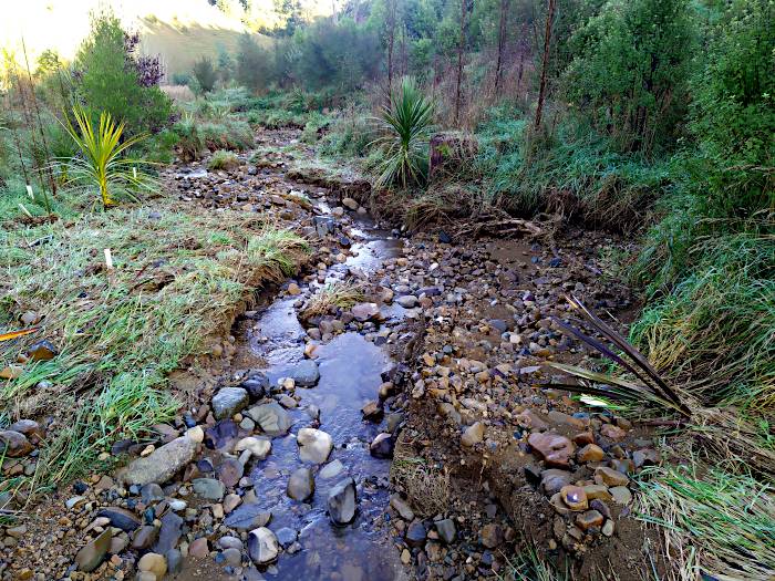 A picture of the stream downstream of the footbridge