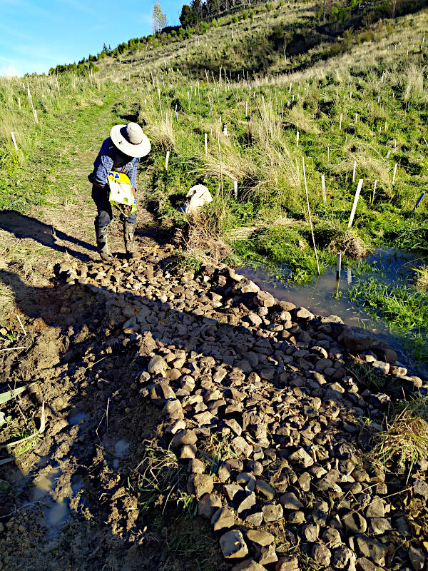 A picture of Lindy laying rocks on the causeway