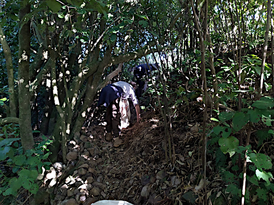 A picture of rocks being gathered into sacks on a nearby bush track