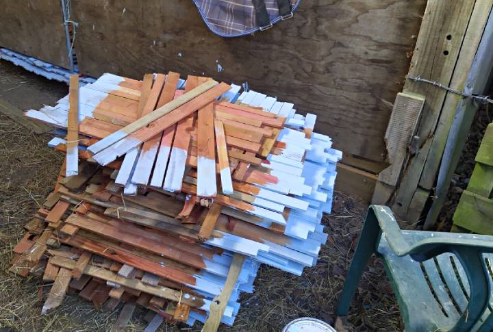 A pile of sticks with their tops painted light blue