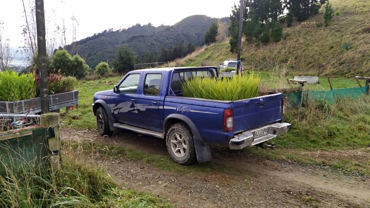 One of the utes with plants in the back tray