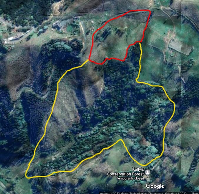 Original forest and new wetland areas outlined in ariel view