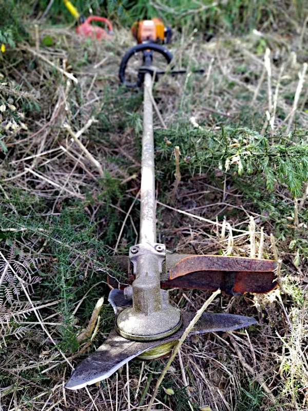 Picture of gorse scrub cutter