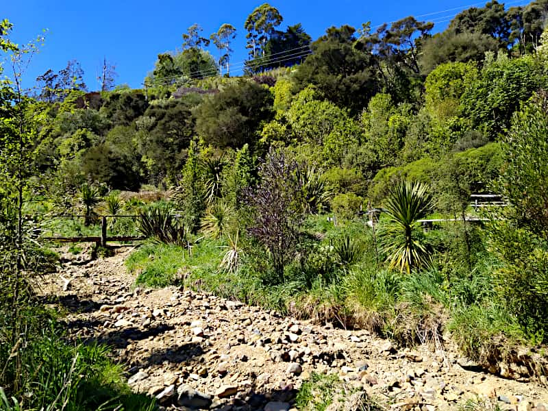 Streambed near picnic area