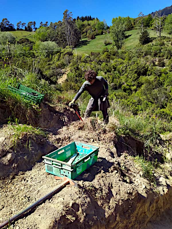 Tarrin planting along the edge of the new track