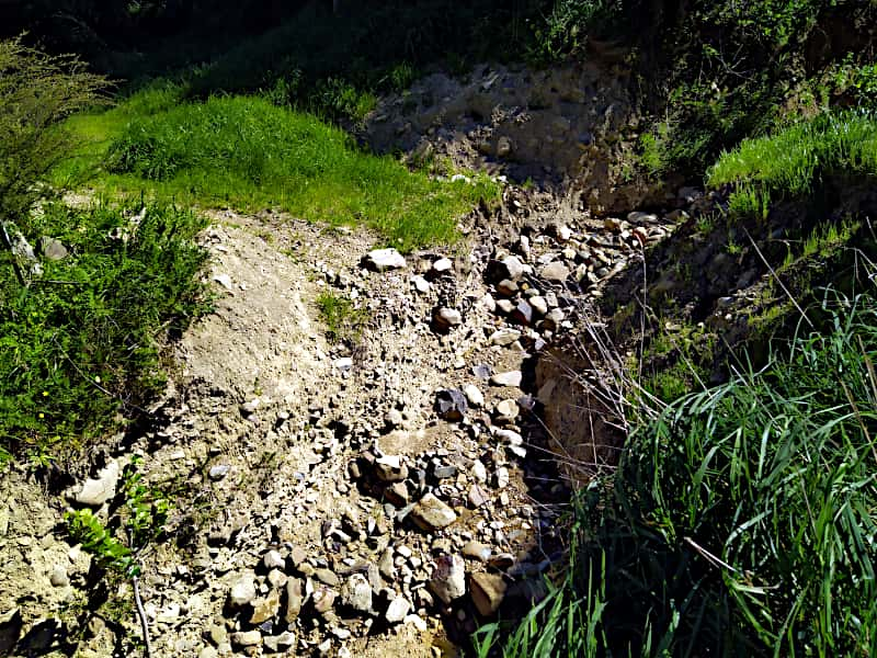 Wash out at start of Western Bush track