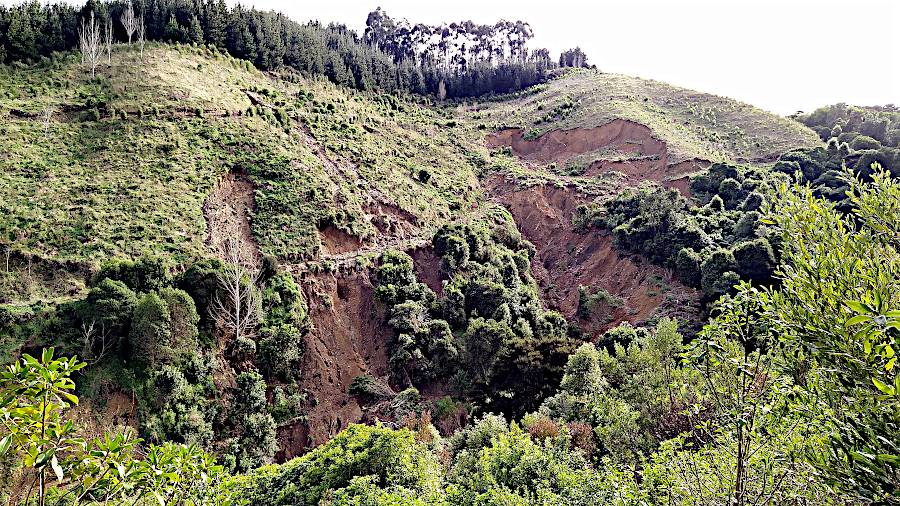 view of slips on the west bush