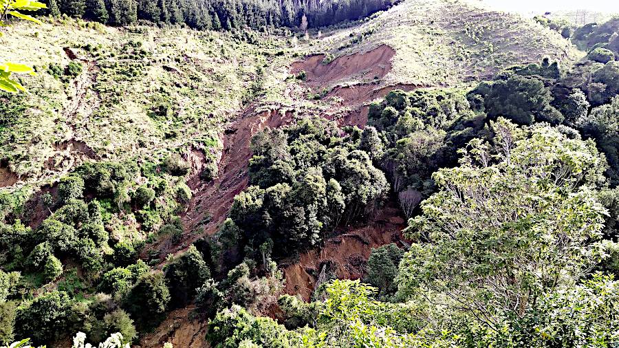 another view of slips on the west bush, looking more towards the old bush