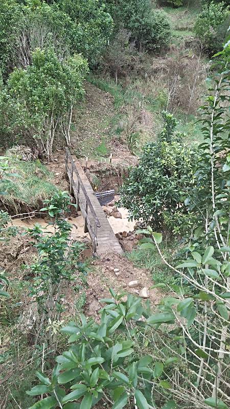 a surviving bridge over the creek that runs through the main forest gully