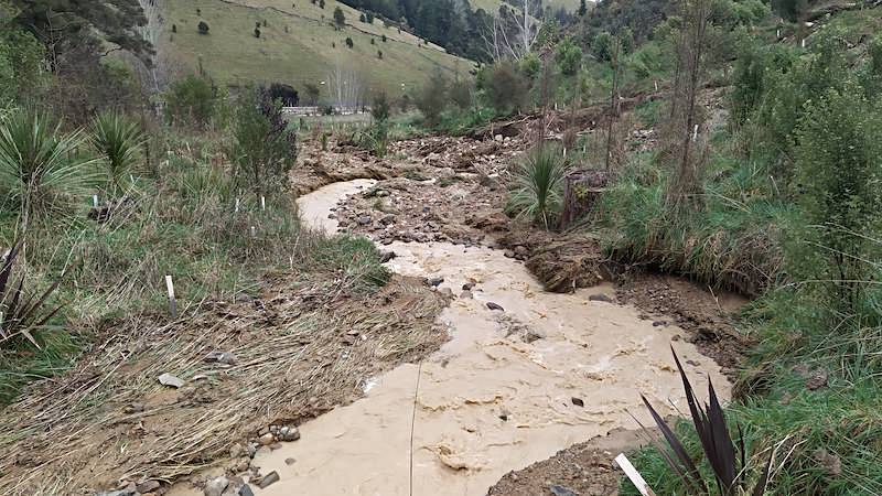 looking downstream of the stream by the picnic area