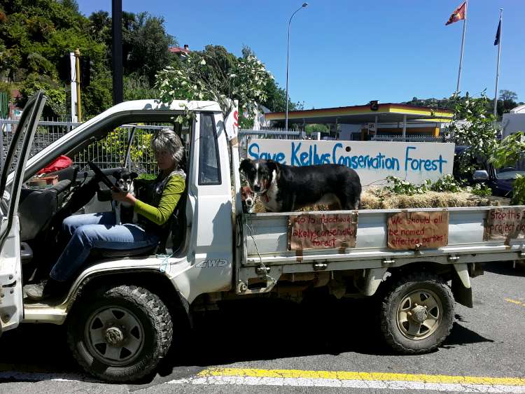 Lindy's old truck decked out with signage