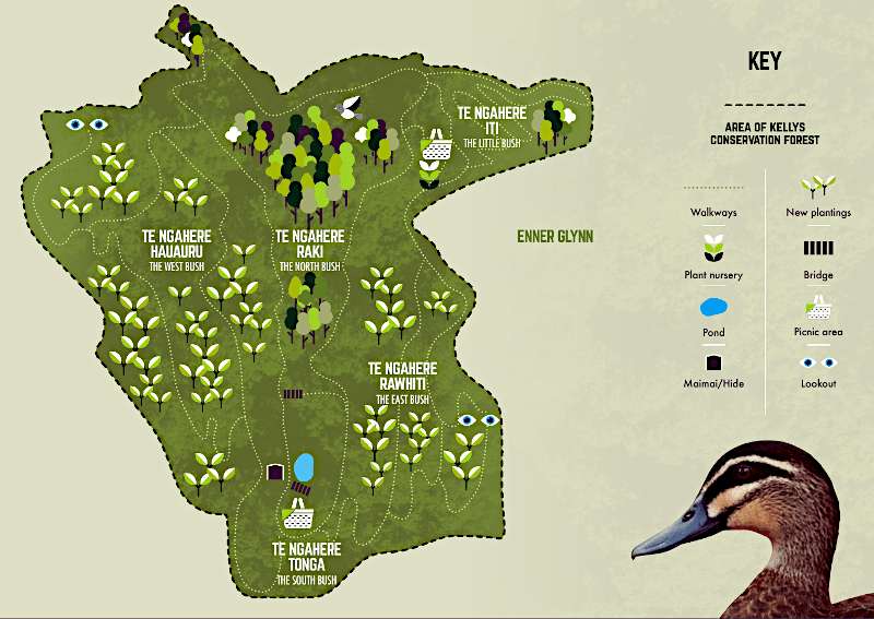 diagram of the different areas of the forest aerial view of kelly's conservation forest